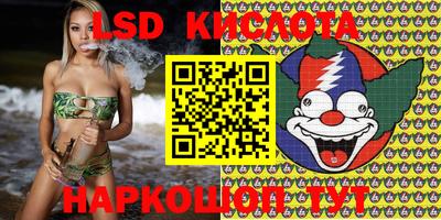прущие грибы Пенза