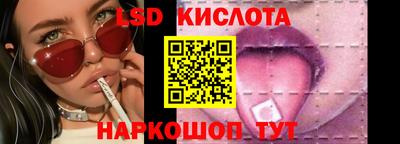 прущие грибы Пенза