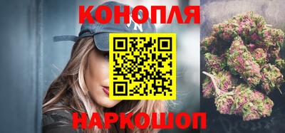 прущие грибы Пенза
