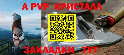 прущие грибы Пенза