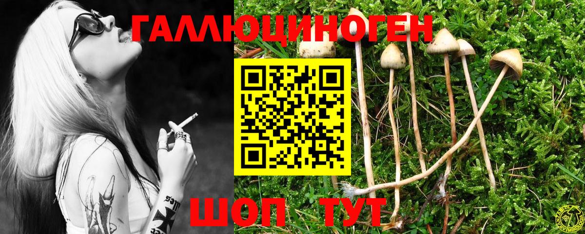 Саров  Псилоцибиновые грибы мухоморы  Вход с VPN 