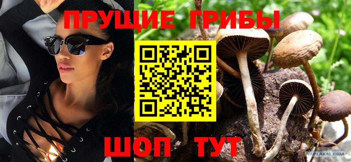 Галлюциногенные грибы мицелий Саров
